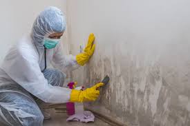 Dublin, CA Mold Remediation Company